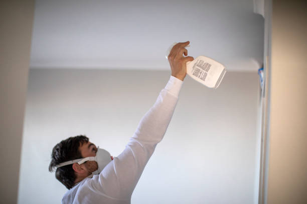 Best Mold Removal Process  in Kenosha, WI