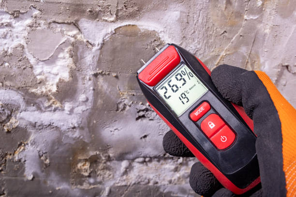 Best Certified Mold Removal  in Kenosha, WI