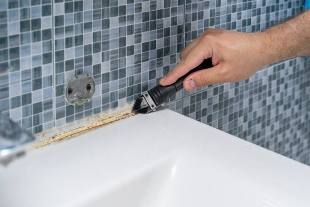 Kenosha, WI Mold Removal Company